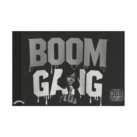 Boomgang Flag, Unique Wall Decor, Home Decoration, Statement Piece, Gift for Music Lovers, Urban Style Flag