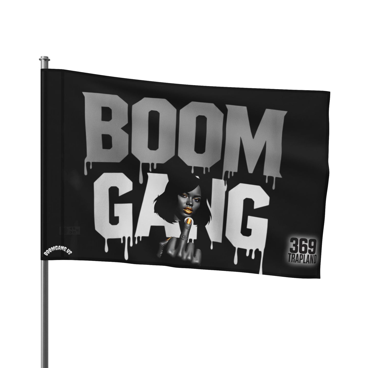 Boomgang Flag, Unique Wall Decor, Home Decoration, Statement Piece, Gift for Music Lovers, Urban Style Flag